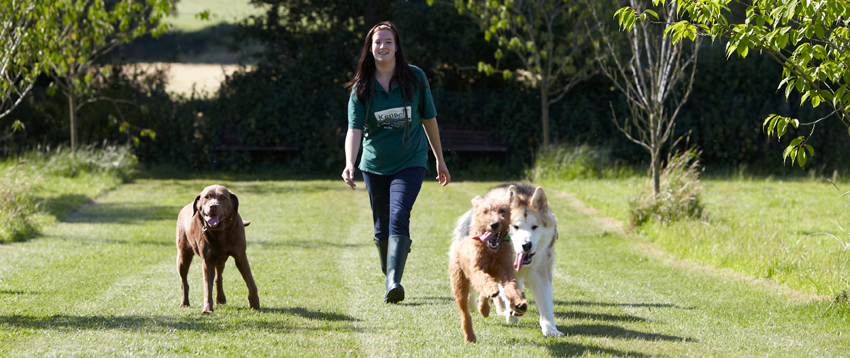 Copied Hall Kennels