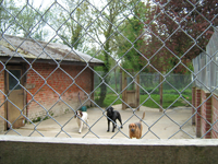 Waiting for Walks