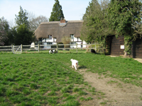 Owners live on site