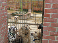 Waiting for Walks