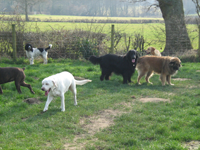All together